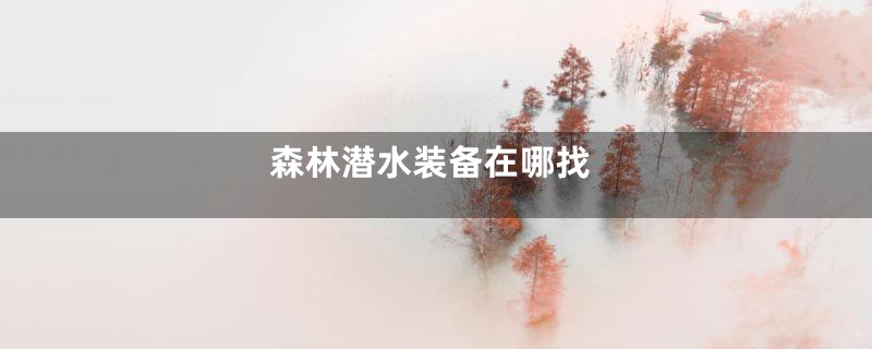 森林潜水装备在哪找