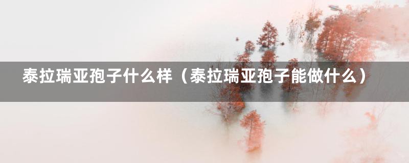 泰拉瑞亚孢子什么样（泰拉瑞亚孢子能做什么）