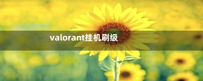 valorant挂机刷级