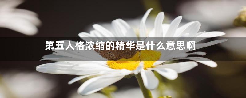 第五人格浓缩的精华是什么意思啊