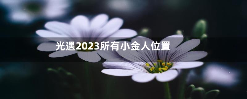 光遇2023所有小金人位置