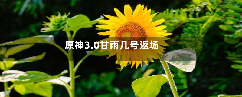 原神3.0甘雨几号返场