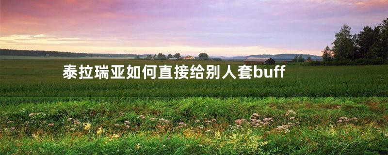 泰拉瑞亚如何直接给别人套buff