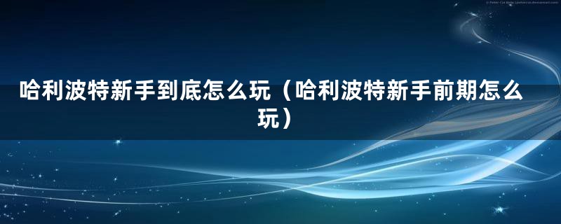 哈利波特新手到底怎么玩（哈利波特新手前期怎么玩）