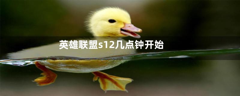 英雄联盟s12几点钟开始