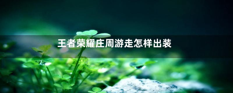 王者荣耀庄周游走怎样出装