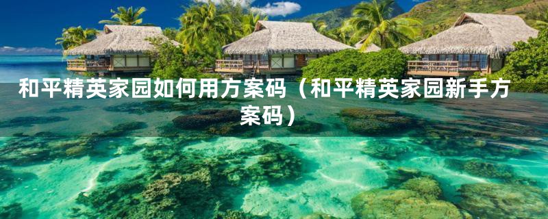 和平精英家园如何用方案码（和平精英家园新手方案码）