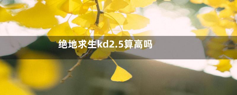 绝地求生kd2.5算高吗