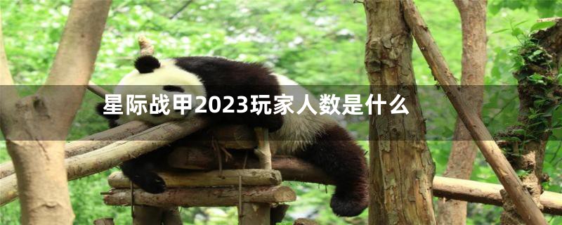 星际战甲2023玩家人数是什么