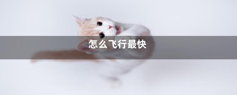 怎么飞行最快