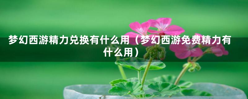 梦幻西游精力兑换有什么用（梦幻西游免费精力有什么用）