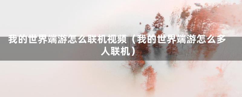 我的世界端游怎么联机视频（我的世界端游怎么多人联机）