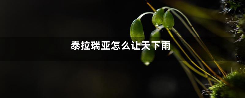 泰拉瑞亚怎么让天下雨