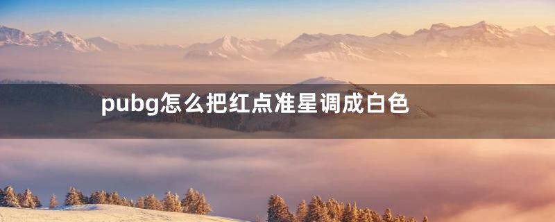 pubg怎么把红点准星调成白色