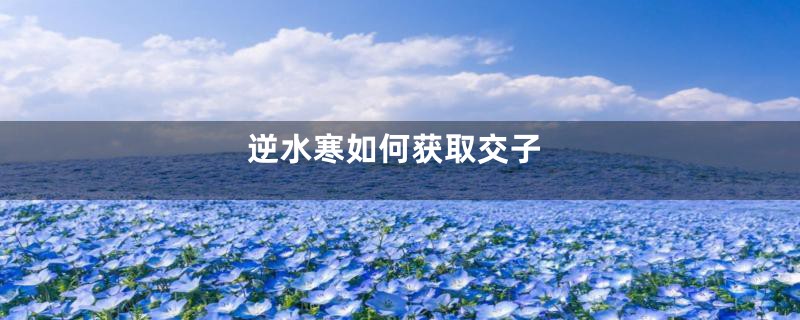 逆水寒如何获取交子