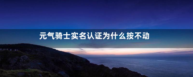 元气骑士实名认证为什么按不动