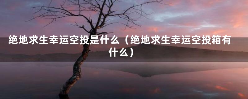 绝地求生幸运空投是什么（绝地求生幸运空投箱有什么）