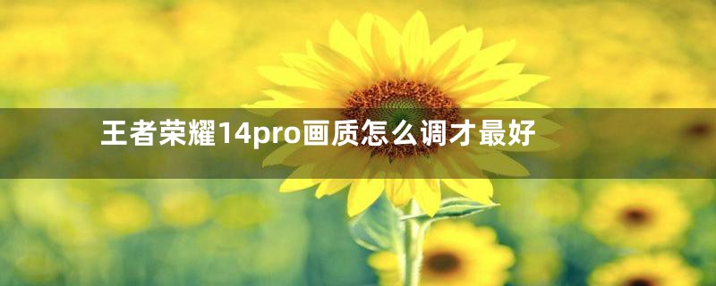 王者荣耀14pro画质怎么调才最好