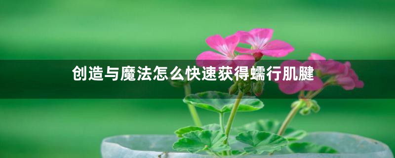 创造与魔法怎么快速获得蠕行肌腱