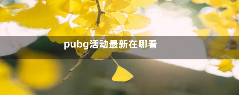 pubg活动最新在哪看