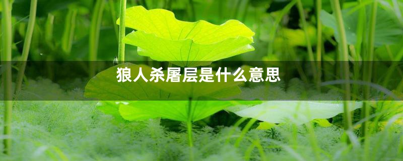 狼人杀屠层是什么意思