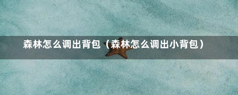 森林怎么调出背包（森林怎么调出小背包）