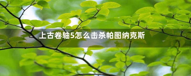 上古卷轴5怎么击杀帕图纳克斯