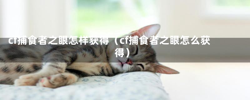 cf捕食者之眼怎样获得（cf捕食者之眼怎么获得）