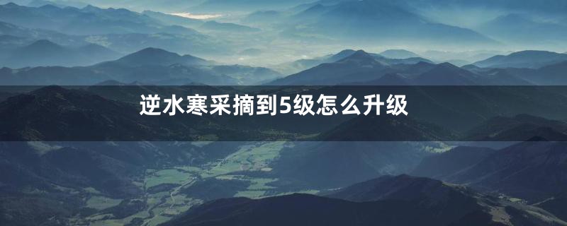 逆水寒采摘到5级怎么升级