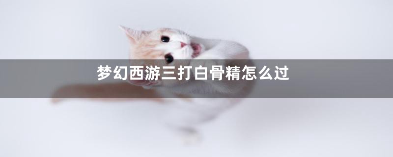 梦幻西游三打白骨精怎么过