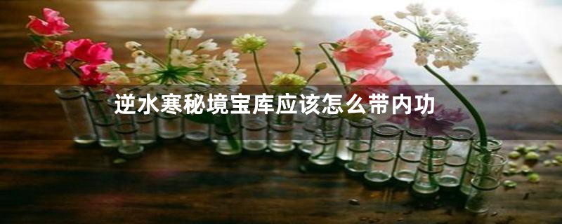 逆水寒秘境宝库应该怎么带内功