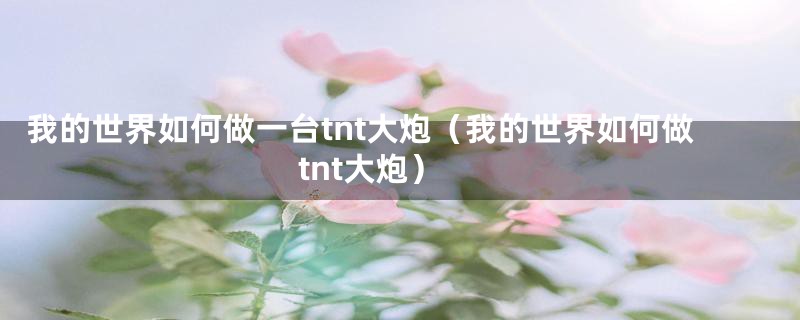 我的世界如何做一台tnt大炮（我的世界如何做tnt大炮）