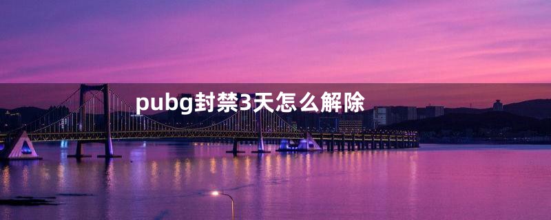 pubg封禁3天怎么解除