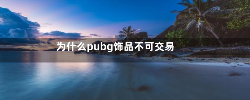 为什么pubg饰品不可交易