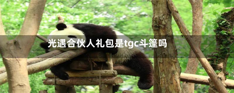 光遇合伙人礼包是tgc斗篷吗