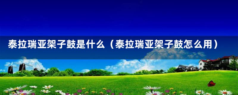 泰拉瑞亚架子鼓是什么（泰拉瑞亚架子鼓怎么用）