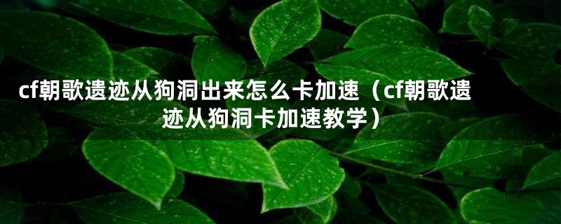 cf朝歌遗迹从狗洞出来怎么卡加速（cf朝歌遗迹从狗洞卡加速教学）