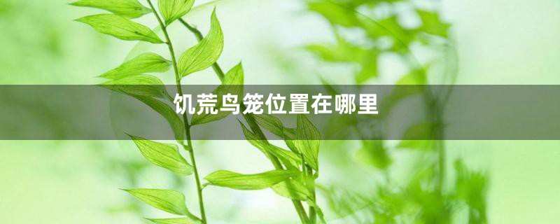 饥荒鸟笼位置在哪里