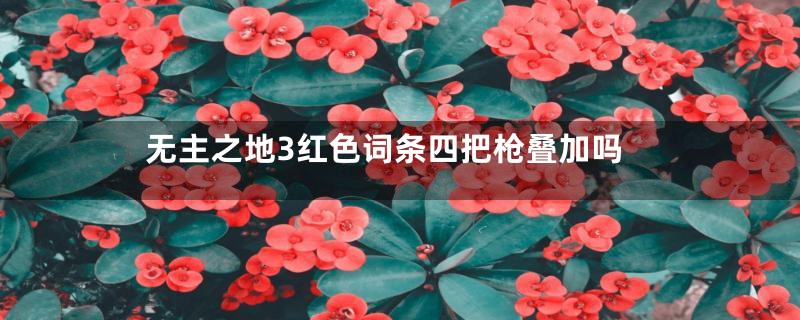 无主之地3红色词条四把枪叠加吗