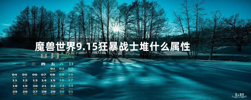 魔兽世界9.15狂暴战士堆什么属性