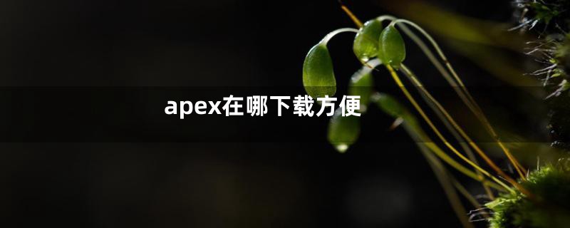 apex在哪下载方便