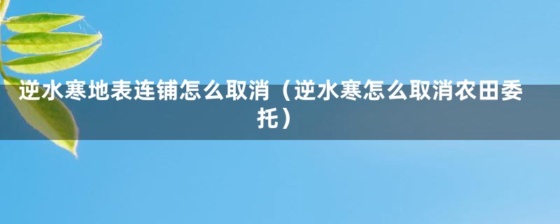 逆水寒地表连铺怎么取消（逆水寒怎么取消农田委托）