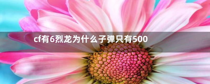 cf有6烈龙为什么子弹只有500