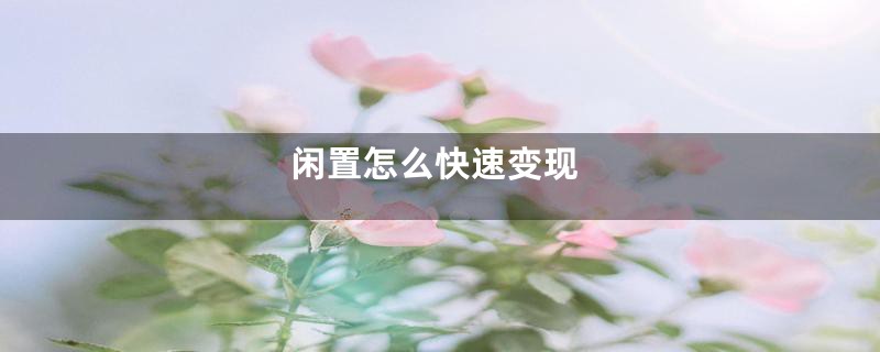 闲置怎么快速变现