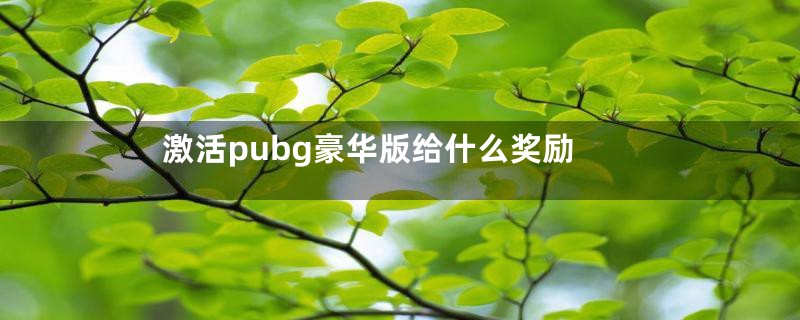 激活pubg豪华版给什么奖励