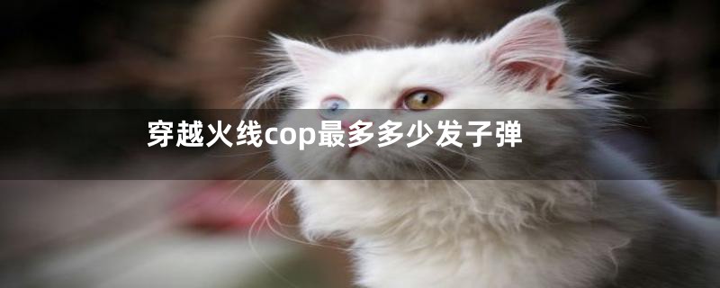 穿越火线cop最多多少发子弹