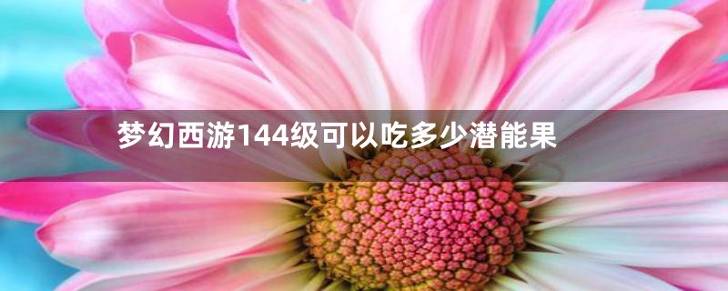 梦幻西游144级可以吃多少潜能果