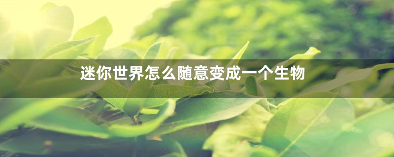 迷你世界怎么随意变成一个生物