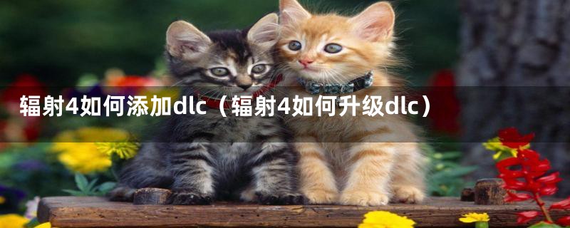 辐射4如何添加dlc（辐射4如何升级dlc）