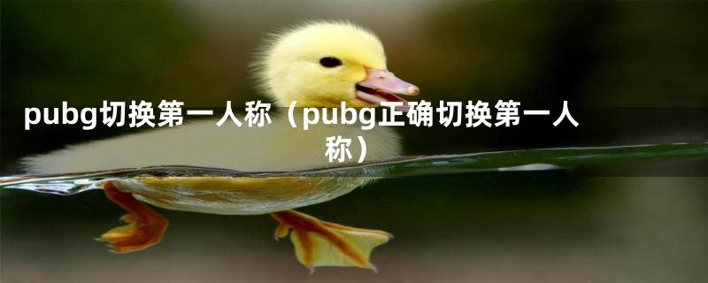 pubg切换第一人称（pubg正确切换第一人称）